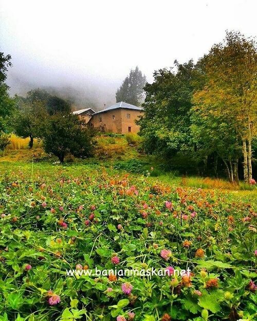 پوشش گیاهی در ویلا جنگلی