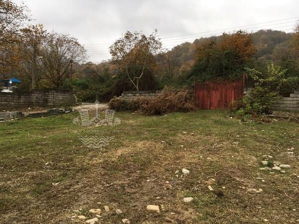 فروش زمین جنگلی