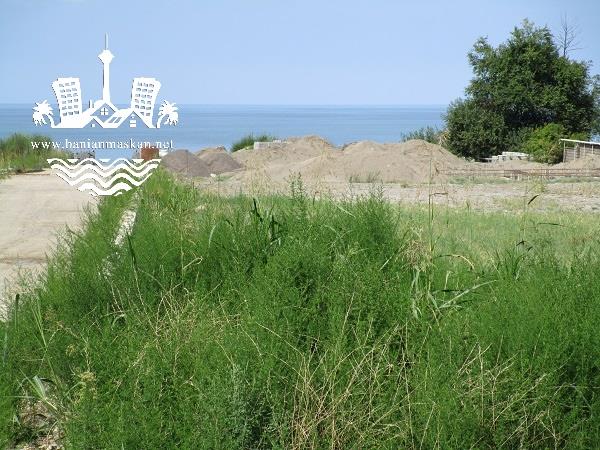 فروش زمین ساحلی شمال