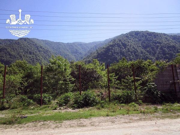 فروش زمین هکتاری شمال