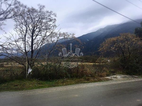 فروش زمین 10 هکتاری