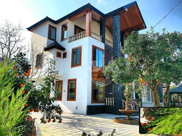 فروش ویلا جنگلی با سند